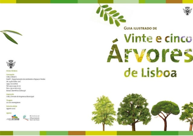 Vinte e cinco árvores de Lisboa
Apresentação
Na cidade, as árvores melhoram a qualidade do ar, produzindo
oxigénio através...