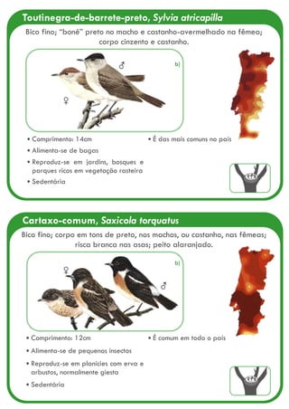 Comprimento: 14cm
Alimenta-se de bagas
Reproduz-se em jardins, bosques e
parques ricos em vegetação rasteira
Sedentária
É das mais comuns no país
♀
♂
Toutinegra-de-barrete-preto, Sylvia atricapilla
Bico fino; “boné” preto no macho e castanho-avermelhado na fêmea;
corpo cinzento e castanho.
Cartaxo-comum, Saxicola torquatus
♀
♂
Bico fino; corpo em tons de preto, nos machos, ou castanho, nas fêmeas;
risca branca nas asas; peito alaranjado.
Comprimento: 12cm
Alimenta-se de pequenos insectos
Reproduz-se em planícies com erva e
arbustos, normalmente giesta
Sedentária
É comum em todo o país
b)
b)
 