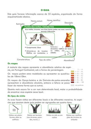 O GUIA
Este guia fornece informação acerca de 32 espécies, organizada da forma
esquematizada abaixo.
Os mapas
A maioria dos mapas apresenta a abundância relativa da espé-
cie, em Portugal Continental, sob a forma de percentagem.
Os mapas podem estar modelados ou apresentar as quadrícu-
las de 10kmx10km.
Os mapas da Garça-boieira e da Gaivota-de-patas-amarelas
apresentam a abundância absoluta, embora a leitura se possa
fazer da mesma forma que os outros.
Quanto mais escura for a cor num determinado local, maior a probabilidade
de encontrar essa espécie nesse local.
Os tipos de ninho
As aves fazem ninhos em diferentes locais e de diferentes maneiras. As espé-
cies que constam deste guia podem ser agrupadas em quatro tipos:
Nome comum Nome científico
Características
Descrição
AbundânciaTipo de ninho
Pombo-das-rochas, Columba livia
Comprimento: 33cm
Alimenta-se de insectos
Nidifica em montanhas e
falésias; o parente
doméstico nidifica em torres
ou sótãos, nas
cidades
Ave média; cinzenta, com duas barras pretas nas asas; zona do
pescoço iridescente.
Ilustração
Ninhos em plata-
formas altas ou
edifícios
Ninhos em buracos
(nas árvorea, pare-
des, muros...)
Ninhos no solo ou em
rochas
Ninhos nas ramifica-
ções de árvores ou
arbustos
 