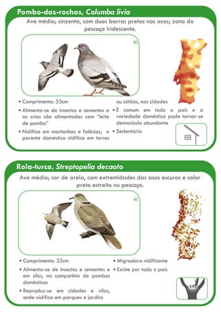 Pombo-das-rochas, Columba livia
Comprimento: 33cm
Alimenta-se de insectos e sementes e
as crias são alimentadas com “leite
de pombo”
Nidifica em montanhas e falésias; o
parente doméstico nidifica em torres
ou sótãos, nas cidades
É comum em todo o país e a
variedade doméstica pode tornar-se
demasiado abundante
Sedentária
Ave média; cinzenta, com duas barras pretas nas asas; zona do
pescoço iridescente.
Rola-turca, Streptopelia decaoto
Comprimento: 32cm
Alimenta-se de insectos e sementes e
em silos, na companhia de pombos
domésticos
Reproduz-se em cidades e vilas,
onde nidifica em parques e jardins
Migradora nidificante
Existe por todo o país
Ave média; cor de areia, com extremidades das asas escuras e colar
preto estreito no pescoço.
b)
b)
 