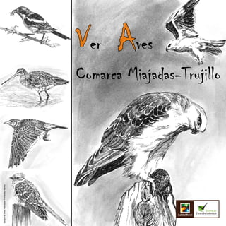 Dibujos de Aves: Adoración Fernández Merino
 