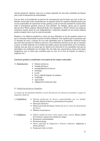 11 
máximo potencial. Además, estas aves se alojan siguiendo los más altos estándares de higiene para evitar la transmisión de enfermedades. 
Con los años se ha producido un proceso de concentración que ha hecho que, hoy en día, los híbridos comerciales estén controlados por un pequeño núcleo de empresas multinacionales que son las responsables de suministrar la base genética a todo el mercado mundial No existen datos sobre la procedencia genética exacta de estos híbridos. No obstante, parece que la mayoría derivan de la White Leghorn, Plymouth Rock, New Hampshire y White Cornish. Las empresas mantienen muchas líneas de cría independientes y diferentes unidades de una misma empresa pueden competir entre sí por la cuota de mercado. 
Respecto a los objetivos productivos, éstos son muy diferentes en los dos grandes sectores en que se encuentra estructurada la actual avicultura industrial. Esto significa que los genetistas que se encargan de crear y mejorar las aves más apropiadas para su explotación comercial tienen que tener muy presente los objetivos precisos y las condiciones prácticas en las que se realizará, es decir, el medio ambiente en el sentido más amplio, puesto que puede influir en los resultados. Además, hay que tener en cuenta que los objetivos de selección no son inmutables sino que las prioridades van cambiando con el tiempo. Por otro lado, hay características, hasta cierto punto antagónicas, que se tienen que considerar para no caer en el error de mejorar un aspecto y empeorar otro. 
Caracteres genéticos considerados en la mejora de las estirpes comerciales. 
A.- Reproductores 
• Número de huevos 
• Tamaño del huevo 
• Incubabilidad de los huevos 
• Fertilidad 
• Lívido 
• Peso y edad de llegada a la madurez 
• Viabilidad 
• Agresividad 
• Adaptación al estrés per calor 
B.- Producción de huevos: Ponedoras 
La mejora de las ponedoras híbridas a través del proceso de selección acostumbra a seguir los siguientes objetivos: 
a.- Cuantitativos 
• Máxima producción de huevos comercializables por ave alojada: Elevado número de huevos y persistencia en la puesta 
• Buen peso del huevo 
• Buena conversión del pienso: Reducción de los costes de alimentación por huevo. 
• Madurez sexual precoz 
b.- Cualitativos 
• Óptima calidad del huevo tanto interna como externa: Buena calidad de la cáscara, ausencia de manchas de sangre 
• Resistencia a enfermedades 
• Resistencia picaje 
• Buena capacidad de adaptación a distintos ambientes: adaptación a climas adversos 
• Sexaje por el ala o el color  