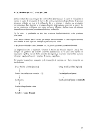 14 
4. CICLO PRODUCTIVO Y PRODUCTO 
En la avicultura hay que distinguir dos sectores bien diferenciados: el sector de producción de carne y el sector de producción de huevos. En ambos, encontramos la posibilidad de producir alimentos estándar en base a la utilización de aves selectas y prácticas de producción convencionales. Pero también se producen alimentos diferenciados como son la carne y los huevos camperos o ecológicos, entre otros, en base a híbridos e incluso razas más rústicas, siguiendo unos ritmos más lentos de crecimiento y producción. 
Por lo tanto, la producción de aves está orientada, fundamentalmente a dos productos principales: 
1.- La producción de CARNE de ave, que incluye mayoritariamente la carne de pollo (broiler), pero también de otras especies, como pavo, pato, codorniz, faisán,… 
2.- La producción de HUEVO COMERCIAL, de gallina y codorniz, fundamentalmente. 
Las empresas avícolas se organizan y orientan en función del producto objetivo. Unas y otras trabajan con genéticas de animales diferentes (optimizadas en un caso para facilitar un crecimiento rápido y elevado de los animales de engorde, y en el otro para facilitar la puesta eficiente y regular de huevos) y prácticas de manejo específicas. 
Brevemente, los eslabones necesarios en la producción de carne de ave y huevo comercial son los siguientes: 
Cría y Recría(pollita pesadas)Cría y Recría (pollitas ligeras) Puesta (reproductoras pesadas + ♂)Puesta (gallinas ligeras) IncubaciónClasificadora (Huevo comercial) Producción pollos de carneMatadero (carne de ave)  