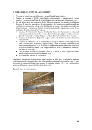 19 
6. PREPARATIVOS ANTES DE LA RECEPCIÓN 
• Asegurar las condiciones de aislamiento y accesibilidad a la explotación. 
• Realizar la limpieza y D.D.D. (desinfección, desinsectación y desratización). Tomar muestras y comprobar la eficacia de la desinfección antes de la entrada del siguiente lote. 
• Revisar del correcto funcionamiento de los diferentes sistemas. Las actuales instalaciones disponen de controles automáticos de apertura/cierre de ventanas, encendido/apagado de ventiladores, iluminación, calefacción, distribución de pienso que están controlados de forma mecánica y centralizada. Se debe revisar también que la programación previa de los parámetros deseados es correcta. Tenemos: 
 Sistemas de iluminación. Buena distribución, horas de iluminación e intensidad adecuadas en cada momento. La correcta iluminación es crucial para un buen arranque (permite localizar la comida y el agua), y un buen desarrollo uniforme de la manada. 
 Sistemas de distribución de pienso y agua. Deben ser de fácil acceso y funcionar correctamente. 
 Sistemas de calefacción, en el alojamiento de aves post-eclosión (naves de pollos de carne y de cría-recría de pollitas y reproductores). Deben revisarse y asegurarse de que la nave está atemperada y se ha alcanzado la temperatura objetivo antes de la llegada de las aves recién nacidas (aprox.:28ºC temperatura focal; 30-32 ºC temperatura ambiental, con el 60-70 % de HR). 
 Colocar equipo auxiliar si es necesario (malla en el piso de la jaula o papel en el suelo, bebederos auxiliares, calefactores focales, etc.). 
 Revisión de los sistemas de emergencia. 
Además en sistemas de alojamiento en suelo, también se debe tener en cuenta los aspectos relacionados con la cama, que tienen una influencia directa sobre el confort de las aves. Es muy importante el material utilizado: tipo, tamaño de partícula, espesor (10-12 cm y distribución, grado de aislamiento y absorción, libre de tóxicos, etc.). 
Figura 8. Nave de pollos de carne.  