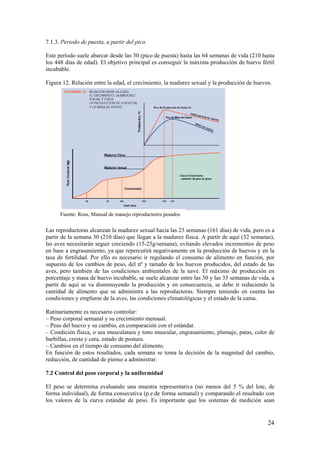 24 
7.1.3. Periodo de puesta, a partir del pico. 
Este periodo suele abarcar desde las 30 (pico de puesta) hasta las 64 semanas de vida (210 hasta los 448 días de edad). El objetivo principal es conseguir la máxima producción de huevo fértil incubable. 
Figura 12. Relación entre la edad, el crecimiento, la madurez sexual y la producción de huevos. 
Las reproductoras alcanzan la madurez sexual hacia las 23 semanas (161 días) de vida, pero es a partir de la semana 30 (210 días) que llegan a la madurez física. A partir de aquí (32 semanas), las aves necesitarán seguir creciendo (15-25g/semana), evitando elevados incrementos de peso en base a engrasamiento, ya que repercutirá negativamente en la producción de huevos y en la tasa de fertilidad. Por ello es necesario ir regulando el consumo de alimento en función, por supuesto de los cambios de peso, del nº y tamaño de los huevos producidos, del estado de las aves, pero también de las condiciones ambientales de la nave. El máximo de producción en porcentaje y masa de huevo incubable, se suele alcanzar entre las 30 y las 35 semanas de vida, a partir de aquí se va disminuyendo la producción y en consecuencia, se debe ir reduciendo la cantidad de alimento que se administra a las reproductoras. Siempre teniendo en cuenta las condiciones y emplume de la aves, las condiciones climatológicas y el estado de la cama. 
Rutinariamente es necesario controlar: 
– Peso corporal semanal y su crecimiento mensual. 
– Peso del huevo y su cambio, en comparación con el estándar. 
– Condición física, o sea musculatura y tono muscular, engrasamiento, plumaje, patas, color de barbillas, cresta y cara, estado de postura. 
– Cambios en el tiempo de consumo del alimento. 
En función de estos resultados, cada semana se toma la decisión de la magnitud del cambio, reducción, de cantidad de pienso a administrar. 
7.2 Control del peso corporal y la uniformidad 
El peso se determina evaluando una muestra representativa (no menos del 5 % del lote, de forma individual), de forma consecutiva (p.e.de forma semanal) y comparando el resultado con los valores de la curva estándar de peso. Es importante que los sistemas de medición sean 
Fuente: Ross, Manual de manejo reproductores pesados  