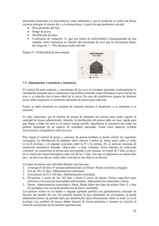 25 
adecuados (manuales y/o automáticos), estén calibrados y que la medición se realice de forma correcta (siempre el mismo día y a la misma hora). A partir de aquí podremos calcular: 
• Peso promedio del lote 
• Rango de pesos 
• Distribución del peso 
• Coeficiente de variación, %, que nos indica la uniformidad u homogeneidad de una manada, suele expresarse en función del porcentaje de aves que se encuentran dentro del rango de +/- 10% del peso medio del lote. 
Figura 13. Uniformidad de una manada. 
7.3. Alimentación. Comederos y bebederos. 
El control del peso corporal y crecimiento de las aves se consigue ajustando continuamente la cantidad de alimento que se suministra a las pollitas tomando como referencia el peso real de las aves y su relación con el peso ideal de la curva. En caso de establecerse grupos de distintos pesos, debe asegurarse el suministro adecuado de pienso para cada lote. 
Nunca se debe disminuir la cantidad de alimento durante el desarrollo, o se mantiene o se aumenta. 
Es muy importante que el sistema de pesaje de alimento sea preciso para poder regular la cantidad de pienso administrada. Además, la distribución del pienso debe ser muy rápida para que llegue a todas las aves en el menor tiempo posible. Igualmente es necesario que todas las pollitas dispongan de un espacio de comedero adecuado. Todos estos aspectos evitarán nerviosismo y competencia entre las aves. 
Para lograr el control de pesos y consumo de pienso también se puede utilizar las siguientes estrategias: La distribución de gránulos duros enteros o pelets de forma aérea sobre el suelo (scratch feeding) y en algunas ocasiones entre la 4ª y la semana 20, se realizan sistemas de restricción alimenticia llamado “skip-a-day” u otras variantes. Estos sistemas de restricción consisten en suministrar el pienso que corresponde a una semana, en menos de 7 días, es decir, no se realiza de forma homogénea cada uno de los 7 días, sino que se administra en menos días (p.e.: un día si-un día no; cuatro días si-un día no, dos días si-un día no). 
Los tipos de pienso más utilizados durante esta fase son: 
1. Arranque (0-20 días, 4ª semana) administrado ad libitum. Pienso en harina o migajas 
2. Cría de 20 a 41 días. Administración controlada. 
3. Crecimiento de 42 a 104 días. Administración controlada. 
4. Pre-puesta, a partir de los 105 días y hasta el inicio de puesta. Pienso especifico para acercarse a las mayores necesidades nutricionales. Administración controlada y diaria. 
5. Puesta. Administración controlada y diaria. Puede haber dos tipos de pienso (fase Y y fase II) ajustados a las curvas de producción de huevo incubable. 
Los piensos suelen ser en harina o migajas (gránulo partido) con granulometría creciente en función del tamaño del ave. En paralelo durante la fase intermedia de crecimiento se puede administrar pienso de gránulo duro por distribución aérea directamente sobre el suelo (scratch feeding). Los cambios de pienso deben hacerse de forma paulatina y siempre en relación al ritmo de crecimiento de las pollitas reproductoras.  