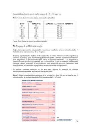 29 
La cantidad de alimento para el macho suele ser de 130 a 160 g por ave. 
Tabla 4: Guía de proporciones típicas entre machos y hembras 
EDAD 
DÍAS 
SEMANAS 
NÚMERO MACHOS/100 HEMBRAS 
133 
19 
10-9,5 
140-154 
20-22 
9,0-8,5 
210 
30 
8,5-8,0 
245 
35 
8,0-7,5 
280 
40 
7,5-7,0 
315-350 
45-50 
7,0-6,5 
420 
60 
6,5-6,0 
7.6. Programa de profilaxis y vacunación 
Es prioritario, prevenir las enfermedades y minimizar los efectos adversos sobre la salud y el bienestar de las reproductoras y de su progenie. 
Son muy importantes las medidas de bioseguridad y el control rutinario del lote. Registros de consumo de pienso y agua, crecimiento y producción ayudan a detectar el estado de salud de las aves. En paralelo, se aplican vacunas para activar la respuesta inmunitaria. Los programas de vacunación están diseñados y adaptados por los veterinarios, ya que se combinan enfermedades rutinarias (Marek, Newcastle, la encefalomielitis aviar, bronquitis infecciosa y Gumboro, entre otras) con otras enfermedades cuya prevalencia depende de cada área geográfica. 
Se realizan controles rutinarios en las aves para detectar la presencia de distintos microorganismos y evaluar la eficacia de las vacunaciones. 
Tabla 5: Objetivos globales de rendimiento de la reproductora Ross 308 para aves en las que el estimulo de luz se produce después de 21 semanas de edad (>147 días) 
Fuente: Ross, Manual de manejo reproductores pesados  