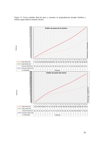30 
Figura 15. Curva estandar ideal de peso y consumo en preproductoras pesadas hembras y machos según edad en semanas. (Ross). 
1 
2 
3 
4 
5 
6 
7 
8 
9 
10 
11 
12 
13 
14 
15 
16 
17 
18 
19 
20 
21 
22 
23 
peso hembra std 
115 
215 
335 
450 
560 
660 
760 
860 
960 
1.06 
1.16 
1.26 
1.36 
1.46 
1.56 
1.67 
1.79 
1.91 
2.05 
2.19 
2.34 
2.50 
2.66 
peso hembra real 
consumo hembra std 
25 
29 
33 
39 
44 
46 
52 
54 
56 
58 
60 
62 
65 
67 
70 
75 
80 
82 
88 
96 
104 
113 
121 
consumo hembra real 
% uniformidad 
0 
100 
200 
300 
400 
500 
600 
700 
800 
900 
1000 
1100 
1200 
1300 
1400 
1500 
1600 
1700 
1800 
1900 
2000 
2100 
2200 
2300 
2400 
2500 
2600 
2700 
Consumo (g) -% Uniformidad 
Pesos (g) 
Semanas 
Gráfico de pesos de la hembra 
1 
2 
3 
4 
5 
6 
7 
8 
9 
10 
11 
12 
13 
14 
15 
16 
17 
18 
19 
20 
21 
22 
23 
peso macho std 
150 
310 
505 
720 
900 
1.07 
1.21 
1.34 
1.46 
1.58 
1.70 
1.82 
1.94 
2.06 
2.18 
2.30 
2.43 
2.58 
2.73 
2.88 
3.03 
3.18 
3.33 
peso macho real 
consumo macho std 
26 
36 
44 
54 
61 
66 
72 
73 
75 
78 
80 
83 
85 
88 
90 
94 
98 
100 
102 
106 
111 
116 
120 
consumo macho real 
% uniformidad 
2 
3 
3 
4 
4 
5 
5 
6 
6 
7 
7 
8 
8 
9 
9 
1 
1 
1 
1 
1 
1 
1 
1 
1 
1 
1 
1 
1 
1 
1 
1 
1 
1 
1 
1 
2 
0 
100 
200 
300 
400 
500 
600 
700 
800 
900 
1000 
1100 
1200 
1300 
1400 
1500 
1600 
1700 
1800 
1900 
2000 
2100 
2200 
2300 
2400 
2500 
2600 
2700 
2800 
2900 
3000 
3100 
3200 
3300 
3400 
3500 
3600 
Consumo (g) -% Uniformidad 
Pesos (g) 
Semanas 
Gráfico de pesos del macho  