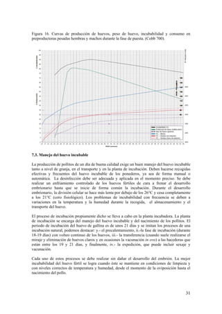 31 
Figura 16. Curvas de producción de huevos, peso de huevo, incubabilidad y consumo en preproductoras pesadas hembras y machos durante la fase de puesta. (Cobb 700). 
7.3. Manejo del huevo incubable 
La producción de pollitos de un día de buena calidad exige un buen manejo del huevo incubable tanto a nivel de granja, en el transporte y en la planta de incubación. Deben hacerse recogidas efectivas y frecuentes del huevo incubable de los ponederos, ya sea de forma manual o automática. La desinfección debe ser adecuada y aplicada en el momento preciso. Se debe realizar un enfriamiento controlado de los huevos fértiles de cara a frenar el desarrollo embrionario hasta que se inicie de forma común la incubación. Durante el desarrollo embrionario, la división celular se hace más lenta por debajo de los 26°C y cesa completamente a los 21°C (cero fisiológico). Los problemas de incubabilidad con frecuencia se deben a variaciones en la temperatura y la humedad durante la recogida, el almacenamiento y el transporte del huevo. 
El proceso de incubación propiamente dicho se lleva a cabo en la planta incubadora. La planta de incubación se encarga del manejo del huevo incubable y del nacimiento de los pollitos. El periodo de incubación del huevo de gallina es de unos 21 días y se imitan los procesos de una incubación natural, podemos destacar: y.- el precalentamiento, ii.-la fase de incubación (durante 18-19 días) con volteo continuo de los huevos, iii.- la transferencia (cuando suele realizarse el miraje y eliminación de huevos claros y en ocasiones la vacunación in ovo) a las hacedoras que están entre los 19 y 21 días, y finalmente, iv.- la expedición, que puede incluir sexaje y vacunación. 
Cada uno de estos procesos se debe realizar sin dañar el desarrollo del embrión. La mejor incubabilidad del huevo fértil se logra cuando éste se mantiene en condiciones de limpieza y con niveles correctos de temperatura y humedad, desde el momento de la oviposición hasta el nacimiento del pollo.  