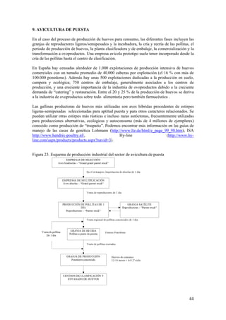 44 
9. AVICULTURA DE PUESTA 
En el caso del proceso de producción de huevos para consumo, las diferentes fases incluyen las granjas de reproductores ligeros/semipesados y la incubadora, la cría y recría de las pollitas, el periodo de producción de huevos, la planta clasificadora y de embalaje, la comercialización y la transformación a ovoproductos. Una empresa avícola prototipo suele tener incorporado desde la cría de las pollitas hasta el centro de clasificación. 
En España hay censadas alrededor de 1.000 explotaciones de producción intensiva de huevos comerciales con un tamaño promedio de 40.000 cabezas por explotación (el 16 % con más de 100.000 ponedoras). Además hay unas 500 explotaciones dedicadas a la producción en suelo, campera y ecológica; 750 centros de embalaje, generalmente asociados a los centros de producción, y una creciente importancia de la industria de ovoproductos debido a la creciente demanda de “catering” y restauración. Entre el 20 y 25 % de la producción de huevos se deriva a la industria de ovoproductos sobre todo alimentaria pero también farmacéutica . 
Las gallinas productoras de huevos más utilizadas son aves híbridas procedentes de estirpes ligeras-semipesadas seleccionadas para aptitud puesta y para otros caracteres relacionados. Se pueden utilizar otras estirpes más rústicas e incluso razas autóctonas, frecuentemente utilizadas para producciones alternativas, ecológicas y autoconsumo (más de 4 millones de ejemplares) conocido como producción de “traspatio”. Podemos encontrar más información en las guías de manejo de las casas de genética Lohmann (http://www.ltz.de/html/e_page_99_98.htm), ISA http://www.hendrix-poultry.nl/, Hy-line (http://www.hy- line.com/aspx/products/products.aspx?navid=3). 
Figura 23. Esquema de producción industrial del sector de avicultura de puesta  