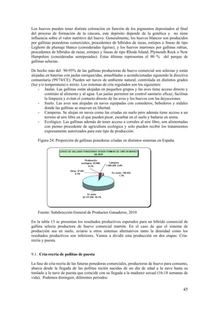 45 
Los huevos pueden tener distinta coloración en función de los pigmentos depositados al final del proceso de formación de la cáscara, este depósito depende de la genética y no tiene influencia sobre el valor nutritivo del huevo. Generalmente, los huevos blancos son producidos por gallinas ponedoras comerciales, procedentes de híbridos de razas, estirpes o líneas de tipo Leghorn de plumaje blanco (consideradas ligeras); y los huevos marrones por gallinas rubias, procedentes de híbridos de razas, estirpes y líneas de tipo Rhode Island, Plymouth Rock o New Hampshire (consideradas semipesadas). Estas últimas representan el 90 % del parque de gallinas selectas. 
De hecho más del 90-95% de las gallinas productoras de huevo comercial son selectas y están alojadas en baterías con jaulas enriquecidas, amuebladas o acondicionadas siguiendo la directiva comunitaria (99/74/CE). Pueden ser naves de ambiente natural, controlada en distintos grados (luz y/o temperatura) o mixto. Los sistemas de cría regulados son los siguientes: 
- Jaulas. Las gallinas están alojadas en pequeños grupos y las aves tiene acceso directo y continúo al alimento y al agua. Las jaulas permiten un control sanitario eficaz, facilitan la limpieza y evitan el contacto directo de las aves y los huevos con las deyecciones. 
- Suelo. Las aves son alojadas en naves equipadas con comederos, bebederos y nidales donde las gallinas se mueven en libertad. 
- Camperas. Se alojan en naves como las criadas en suelo pero además tiene acceso a un terreno al aire libre en el que pueden picar, escarbar en el suelo y bañarse en arena. 
- Ecológico. Las gallinas además de tener acceso a corrales al aire libre, son alimentadas con pienso procedente de agricultura ecológica y solo pueden recibir los tratamientos expresamente autorizados para este tipo de producción. 
Figura 24. Proporción de gallinas ponedoras criadas en distintos sistemas en España. 
Fuente: Subdirección General de Productos Ganaderos, 2010 
En la tabla 13 se presentan los resultados productivos esperados para un híbrído comercial de gallina selecta productora de huevo comercial marrón. En el caso de que el sistema de producción sea en suelo, aviario u otros sistemas alternativos tanto la densidad como los resultados productivos son inferiores. Vamos a dividir esta producción en dos etapas: Cría- recría y puesta. 
9.1. Cría-recría de pollitas de puesta 
La fase de cría-recría de las futuras ponedoras comerciales, productoras de huevo para consumo, abarca desde la llegada de las pollitas recién nacidas de un día de edad a la nave hasta su traslado a la nave de puesta que coincide con su llegada a la madurez sexual (16-18 semanas de vida). Podemos distinguir, diferentes periodos:  