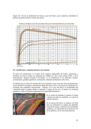 57 
Figura 28. Curvas de producción de huevos, peso del huevo, peso corporaly mortalidad en gallinas de puesta de huevo comercial marrón. 
9.3. Clasificación y embalaje del huevo de consumo 
El centro de clasificación es la parte de la empresa responsable de recibir, seleccionar y clasificar los huevos según sus categorías de calidad (A y B) y peso (clases S,M,L y XL). Generalmente, después procede al envasado y a la distribución a los diferentes clientes: consumidores, grandes superficies, restauración, industrias alimentarias entre otros. 
Es habitual que el centro de clasificación esté conectado o muy cerca del centro de producción, lo que permite la recogida y distribución rápida del huevo fresco. El proceso de clasificación y envasado está totalmente automatizado. Además, en el caso del huevo la trazabilidad esta controlada desde la granja, donde se registran el origen de las aves, el pienso, los controles sanitarios y todos los factores implicados en la seguridad alimentaria. 
En el centro de embalaje se registra el origen y destino de cada lote expedido, y se marca el registro sanitario. 
En la cáscara del huevo va impreso con tinta para uso alimentario el código que identifica la granja de origen e informa a las autoridades sanitarias y al consumidor de la forma de cría de las gallinas y de la zona de producción.  