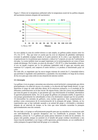 4 
Figura 3. Efecto de la temperatura ambiental sobre la temperatura rectal de los pollitos después del nacimiento (minutos después del nacimiento) 
En aves adultas la zona de confort térmico es más amplia, en gallinas podría situarse entre los 10 y los 23 ºC. Hay que tener en cuenta que las aves no disponen de glándulas sudoríparas (excepto la glándula uropigia situada en la parte posterior de la cola) y que dependen de la evaporación por la vía pulmonar para mantener y reducir la tª corporal, en caso de tª ambientales elevadas. La cresta también tiene un papel importante en la termorregulación así como el buen estado del plumaje. Por lo tanto, en casos de elevadas tª (28-30 ºC) y altas humedades relativas, el ave no puede evaporar por la vía pulmonar (jadeando) toda el agua que necesita para mantener la tª corporal, esto empeora el estrés térmico y se produce el denominado golpe de calor. 
Por todo ello, es importante que las naves tengan sistemas de control de tª y humedad relativa que permitan ir regulando estos parámetros y ajustando a las necesidades a lo largo de la crianza de las aves para que estas estén en una situación de máximo confort. 
2.3. Jerarquía 
Las gallinas viven en grupo y presentan una estructura social territorial y jerarquizada que afecta principalmente a la orden de acceso a la comida y a la elección del lugar donde dormir. Lo que determina el rango de cada individuo dentro de la estructura jerárquica, es el resultado de las diferentes confrontaciones en la fase inicial. De alguna forma, cada uno conoce las posibilidades que tiene de ganar en una pelea, lo que permite que vaya directamente al resultado, ahorrándose la agresión propiamente dicha. Así, en un grupo de gallinas con jerarquía estable, la agresión es rara porque generalmente los subordinados evitan a los dominantes siempre que les sea posible. Al intercambiar los animales de gallinero, estos reciben agresiones. Este comportamiento se produce como consecuencia de la reestructuración de la jerarquía del grupo. Además, en los experimentos que se han realizado sacando a un animal del grupo y volviéndolo a introducir después de un intervalo de tiempo, se ha visto que estos animales recuerdan la jerarquía aproximadamente unas dos semanas. 
Por otro lado, si el grupo es suficientemente pequeño para que sus miembros se reconozcan cada uno individualmente, la agresión desaparece una vez restablecida la jerarquía. Entre las ponedoras, colocar de 3 a 6 gallinas por jaulas parece disminuir el estrés de los animales. En grupos más grandes, aunque un aumento en el tamaño del grupo conduce inicialmente a una mayor tasa de mortalidad y a un riesgo a sufrir agresiones, posteriormente, un vez establecido el orden jerárquico la agresividad total del grupo se ve reducida.. 
26283032343638400102030405060708090100110120Minutos ºC 20 ºC28 ºC32 ºC38 ºC 
Le Menec,1987  