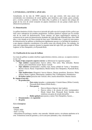 7 
3. ETNOLOGIA y GENÈTICA APLICADA 
Actualmente, de las más de 10000 especies de aves que existen, sólo unas pocas son consideradas aves domésticas de corral (gallina, pato doméstico, pato mudo, ganso, pintada, pavo, avestruz, paloma y codorniz). De todas ellas, la gallina es la especie más antigua del grupo de las aves de corral (conjunto de pájaros domésticos de una granja criados para la obtención de productos). 
3.1. Domesticación 
La gallina doméstica (Gallus domesticus) procede del gallo rojo de la jungla (Gallus gallus) que tiene cinco subespecies de posibles progenitores. Estudios genéticos sugieren que ha existido más de un centro de domesticación. Como mínimo, los datos arqueológicos sugieren la existencia de un centro de domesticación alrededor del valle del Indo (Pakistán) hace unos 5000 años y otro situado en la China oriental de hace unos 7500-8000 años. A partir de estos puntos de domesticación las gallinas se distribuyeron rápidamente gracias a su facilidad de transporte y a que algunas religiones consideraron a los pollos como una ofrenda divina. Sin embargo, las razas más importantes surgieron durante la segunda mitad del siglo XIX, por ejemplo la White Leghorn, la New Hampshire y la Plymouth Rock. 
3.2. Clasificación de las razas de Gallinas 
Les razas de gallinas se poden clasificar según distintos criterios, como p.e. su aspecto externo o su uso. Así: 
A.- Según el tipo corporal o aspecto externo: se diferencian los siguientes grupos: 
• Tipo asiático (superpesadas): huevos rubios. Para carne. Muy delicadas. Buenas cluecas, poco dimorfismo sexual. Razas: Cornish 
• Tipo atlántico (semipesadas): orejillas rojas, buena calidad de *carne y *ponedores. Buenas cluecas. Razas: Empordanesa, Rhode Island, New Hampshire, Plymouth Rock, Sussex. 
• Tipo mediterráneo (lleugeres): huevos blancos. Buenas ponedoras. Rusoticas. Malas cluecas. Razas: Leghorn, Menorquina, Andalusa, Prat, Vilafranquina i Penedesenca 
• De lucha o pelea (posición más vertical): altos, mucho dimorfismo. Buenas cluecas. 
B.- Segons el seu uso: 
• De producción: 
• Para carne (pesadas y semipesadas): Cornish blanca (White Cornish), Plymouth Rock blanca (White Rock),... 
• Para puesta: 
» Huevos blancos (ligeras): tipo Leghorn 
» Huevos rubios o de cáscara de color (semipesadas): Rhode Island Red, Plymouth Rock barrada, otras sintéticas con genes de sexado del pollito 
• Doble aptitud (para puesta y carne): New Hampshire, Sussex,… 
• Ornamentales o de exposición 
• De pelea 
3.2.1. Extranjeras 
Cornish 
- Origen: India 
- Peso: 3,5-5 kg. 
- Musculatura de pechuga y muslos muy marcada. Ademán erecta y sin plumas opulentas en la cola. Voluminosa cresta de guisante y con la cara poco plumada y muy vascularizada  