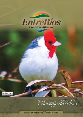 GUIAS TURISTICAS




                             Avistaje de Aves
                   www.unatierradiferente.com
 