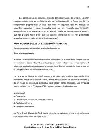 Guia basica de auditoria financiera | PDF