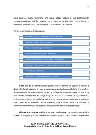 Guia basica de auditoria financiera | PDF