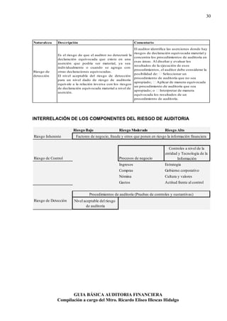 Guia basica de auditoria financiera | PDF