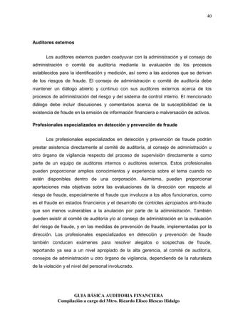 Guia basica de auditoria financiera | PDF