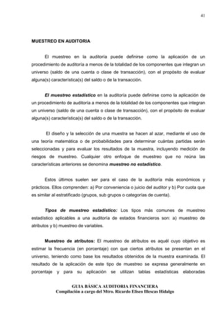 Guia basica de auditoria financiera | PDF