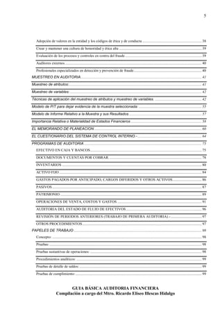 Guia basica de auditoria financiera | PDF