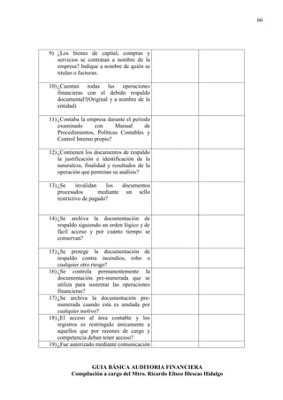 Guia basica de auditoria financiera | PDF