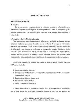Guia basica de auditoria financiera | PDF