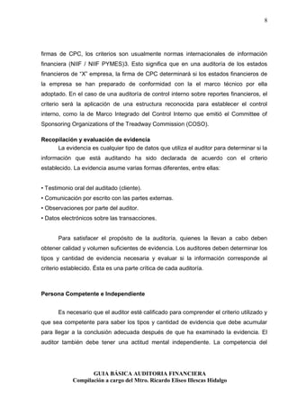 Guia basica de auditoria financiera | PDF