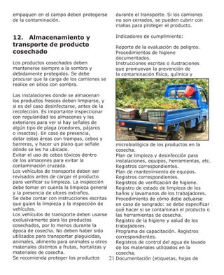 21
empaquen en el campo deben protegerse
de la contaminación.
12.	 Almacenamiento y
transporte de producto
cosechado
Los productos cosechados deben
mantenerse siempre a la sombra y
debidamente protegidos. Se debe
procurar que la carga de los camiones se
realice en sitios con sombra.
Las instalaciones donde se almacenan
los productos frescos deben limpiarse, y
si es del caso desinfectarse, antes de la
recolección. Es importante inspeccionar
con regularidad los almacenes y los
exteriores para ver si hay señales de
algún tipo de plaga (roedores, pájaros
o insectos). En caso de presencia,
dotar estas áreas con trampas, cebos y
barreras, y hacer un plano que señale
dónde se les ha ubicado.
Evitar el uso de cebos tóxicos dentro
de los almacenes para evitar la
contaminación cruzada.
Los vehículos de transporte deben ser
revisados antes de cargar el producto
para verificar su limpieza. La inspección
debe tomar en cuenta la limpieza general
y la presencia de olores extraños.
Se debe contar con instrucciones escritas
que guíen la limpieza y la inspección de
vehículos.
Los vehículos de transporte deben usarse
exclusivamente para los productos
cosechados, por lo menos durante la
época de cosecha. No deben haber sido
utilizados para transportar plaguicidas,
animales, alimento para animales u otros
materiales distintos a frutas, hortalizas y
materiales de cosecha.
Se recomienda proteger los productos
durante el transporte. Si los camiones
no son cerrados, se pueden cubrir con
mallas para proteger el producto.
Indicadores de cumplimiento:
Reporte de la evaluación de peligros.
Procedimientos de higiene
documentados.
Instrucciones escritas o ilustraciones
que promuevan la prevención de
la contaminación física, química y
microbiológica de los productos en la
cosecha.
Plan de limpieza y desinfección para
instalaciones, equipos, herramientas, etc.
Registros correspondientes.
Plan de mantenimiento de equipos.
Registros correspondientes.
Registros de verificación de higiene.
Registro de estado de limpieza de los
baños y lavamanos de los trabajadores.
Procedimiento de cómo debe actuarse
en caso de sangrado: se debe especificar
qué hacer si se contaminan el producto o
las herramientas de cosecha.
Registro de la higiene y salud de los
trabajadores.
Programa de capacitación. Registros
correspondientes.
Registros de control del agua de lavado
de los materiales utilizados en la
cosecha.
Documentación (etiquetas, hojas de
 