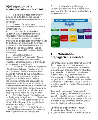 5
¿Qué aspectos de la
Producción afectan las BPA? :
1.	 El Suelo: Se debe mantener y
mejorar la fertilidad de los suelos y
disminuir el escurrimiento superficial y la
lixiviación.
2.	 El Agua: Se debe usar
eficientemente y evitar su salinización o
contaminación.
3.	 Protección de los Cultivos :
Se deben utilizar preferentemente
variedades resistentes a plagas y
enfermedades y utilizar el manejo
integrado de plagas para minimizar el uso
de pesticidas de manera de minimizar
los efectos sobre el medioambiente y
la salud de los trabajadores (uso de
protección adecuada) y consumidores
(residuos).
4.	 Cosecha, Embalaje,
Almacenamiento y Transporte: Aplicar
normas adecuadas para la cosecha,
embalaje, almacenamiento y transporte
de los productos agrícolas.
5.	 Gestión de los Residuos Agrícolas
: Se deben establecer mecanismos de
control de los residuos, estableciendo
planes de manejo de los combustibles,
fertilizantes y agroquímicos, para
asegurar un uso eficiente y seguro.
Ello implica condiciones adecuadas de
almacenamiento de estos productos y
el establecimiento de procedimientos de
emergencia para casos de accidentes, de
manera de minimizar la polución y los
riesgos para la salud de las personas.
6.	 Bienestar, Salud y Seguridad de
los Trabajadores Agrícolas : Se deben
cumplir con normas establecidas en el
código del trabajo y otras regulaciones
relativas al trabajo, como los
reglamentos internos de las empresas,
el establecimiento de comités paritarios
para la prevención de riesgos, etc.
7.	 La Naturaleza y el Paisaje :
Se debe propender a que la agricultura
minimice los efectos sobre los hábitats y
los ecosistemas.
1.	 Material de
propagación y siembra
Los productores deben elegir el material
de propagación con base en criterios
como: que sean variedades resistentes
a plagas, que sean semillas certificadas,
que procedan de viveros o semilleros
autorizados y cuya confiabilidad se
apoye en un certificado reconocido, así
se garantizan la obtención de resultados
favorables y evitan tener que recurrir a
la aplicación de productos fitosanitarios o
fertilizantes.
Si se realiza propagación de semilla
para uso propio, también es importante
que el productor tome en cuenta ciertos
controles de calidad y se asegure de que
el material sea de buena calidad y esté
libre de plagas y enfermedades.
Objetivo de elegir el mejor material
de siembra es: Minimizar el uso de
productos fitosanitarios y fertilizantes en
 