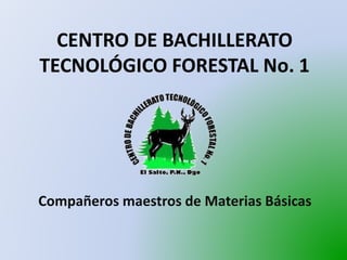 CENTRO DE BACHILLERATO
TECNOLÓGICO FORESTAL No. 1
Compañeros maestros de Materias Básicas
 