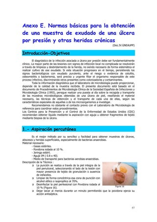 
       

                                                                                    



         


             
           
            

         
              


            
              

                

              






                     


        
        
        
        
        

            
            
                   
            
            
            
            
                                                                                    
            
                        
            




                                                                                                      
 