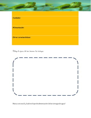 Cuidados:
Alimentación:
Otras características:
Dibuja la época del año duermen las tortugas.
Marca conunaX ¿Cuál es el tipodealimentación delas tortugasde agua?
 