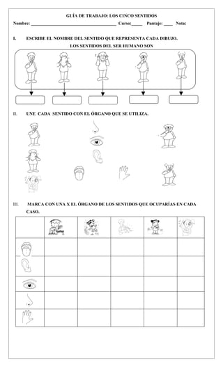 GUÍA DE TRABAJO: LOS CINCO SENTIDOS
Nombre: _______________________________________ Curso:_____   Puntaje: ____ Nota:


I.     ESCRIBE EL NOMBRE DEL SENTIDO QUE REPRESENTA CADA DIBUJO.
                         LOS SENTIDOS DEL SER HUMANO SON




II.    UNE CADA SENTIDO CON EL ÓRGANO QUE SE UTILIZA.




III.   MARCA CON UNA X EL ÓRGANO DE LOS SENTIDOS QUE OCUPARÍAS EN CADA
       CASO.
 