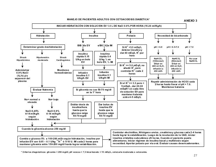 Guía Clinica GES DM1