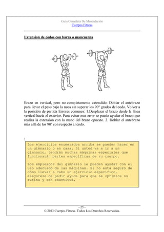 Guía Completa De Musculación
Cuerpos Fitness

Extension de codos con barra o mancuerna

Brazo en vertical, pero no complet...
