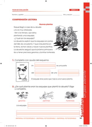 Santillana
103
Unpasoadelante
MATERIAL FOTOCOPIABLE • MATERIAL FOTOCOPIABLE • MATERIAL FOTOCOPIABLE
Nombre y apellido: _________________________________________________ Año y sección: _________
FICHA DE EVALUACIÓN UNIDAD 10
COMPRENSIÓN LECTORA
1. Completa con ayuda del esquema.
2. ¿De qué plantas eran los esquejes que plantó la abuela? Elige
y completa.
Nuevas plantas
Raquel llegó a casa de su abuela
y la vio muy atareada.
–Ven a la terraza, que estoy
plantando unos esquejes.
–¿Y qué son los esquejes?
La abuela le explicó que los esquejes son partes
del tallo de una planta. Y que si las plantas en
la tierra, echan raíces y nacen nuevas plantitas.
La abuela le aseguró que la próxima primavera
iba a tener preciosos geranios y bonitas hortensias.
Un es una parte
del de una .
El esqueje sirve para que nazca una nueva planta.
geranios jazmines hortensias
Los esquejes
097_104U10L1G.indd 103097_104U10L1G.indd 103 2/16/06 5:34:55 PM2/16/06 5:34:55 PM
 