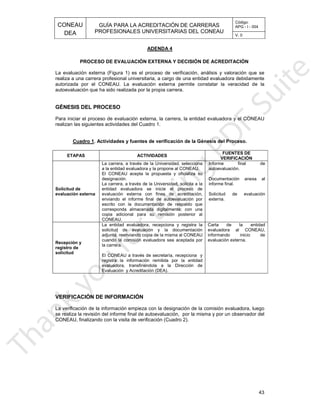 CONEAU APG - I - 004
Código:
PROFESIONALES UNIVERSITARIAS DEL CONEAU
GUÍA PARA LA ACREDITACIÓN DE CARRERAS
DEA V. 0
ADENDA 4
43
Cuadro 1
realizan las siguientes actividades del Cuadro 1.
arrera, la entidad evaluadora y el CONEAUPara iniciar el proceso de evaluación externa, la c
GÉNESIS DEL PROCESO
carrera.autoevaluación que ha sido realizada por la propia
mite constatar la veracidad de laautorizada por el CONEAU. La evaluación externa per
cargo de una entidad evaluadora debidamenterealiza a una carrera profesional universitaria, a
erificación, análisis y valoración que seLa evaluación externa (Figura 1) es el proceso de v
ACIÓNPROCESO DE EVALUACIÓN EXTERNA Y DECISIÓN DE ACREDIT
FUENTES DE
ETAPAS ACTIVIDADES
is del Proceso.. Actividades y fuentes de verificación de la Génes
VERIFICACIÓN
externa.
Solicitud de evaluación
informe final.
Documentación anexa al
autoevaluación.
Informe final de
CONEAU.
copia adicional para su remisión posterior al
corresponda almacenada digitalmente; con una
escrito con la documentación de respaldo que
enviando el informe final de autoevaluación por
evaluación externa con fines de acreditación,
entidad evaluadora se inicie el proceso de
laLa carrera, a través de la Universidad, solicita a
designación.
El CONEAU acepta la propuesta y oficializa su
a la entidad evaluadora y la propone al CONEAU.
La carrera, a través de la Universidad, selecciona
evaluación externa
Solicitud de
evaluación externa.
informando inicio de
evaluadora al CONEAU,
Carta de la entidad
Evaluación y Acreditación (DEA).
evaluadora, transfiriéndola a la Dirección de
registra la información remitida por la entidad
El CONEAU a través de secretaría, recepciona y
la carrera.
cuando la comisión evaluadora sea aceptada por
adjunta, reenviando copia de la misma al CONEAU
solicitud de evaluación y la documentación
La entidad evaluadora, recepciona y registra la
solicitud
registro de
Recepción y
Cuadro 2).CONEAU, finalizando con la visita de verificación (
luación, por la misma y por un observador delse realiza la revisión del informe final de autoeva
signación de la comisión evaluadora, luegoLa verificación de la información empieza con la de
VERIFICACIÓN DE INFORMACIÓN
 