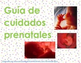Guía de cuidados prenatales 
Elaborado por Vanessa Guadalupe Ruíz Martínez y Sara Hernández Pérez  