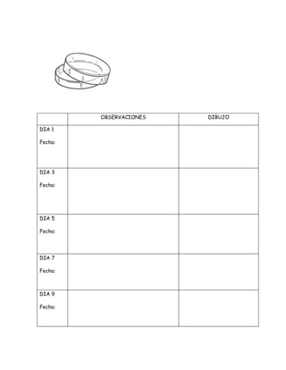 OBSERVACIONES   DIBUJO

DIA 1

Fecha:




DIA 3

Fecha:




DIA 5

Fecha:




DIA 7

Fecha:



DIA 9

Fecha:
 