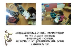 ANEM BUSCANT INFORMACIÓ ALS LLIBRES I FINALMENT DESCOBRIM:
          -QUE TOTES LES ARANYES TENEN 8 POTES.
             - 8 ULLS PERÒ QUASI BÉ NO HI VEUEN.
-UNS SENSORS A LES POTES QUE ELS PERMETEN SABER A ON TENEN
                   ALGUN ANIMALÓ A PROP.
 