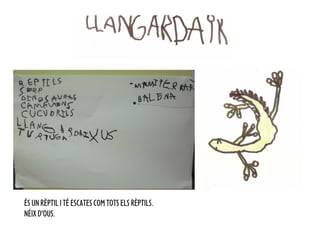 ÉS UN RÈPTIL I TÉ ESCATES COM TOTS ELS RÈPTILS.
NÉIX D’OUS.
 