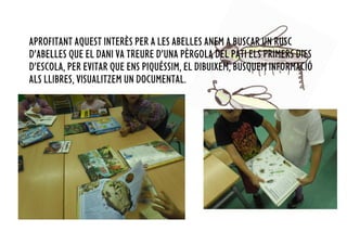 APROFITANT AQUEST INTERÈS PER A LES ABELLES ANEM A BUSCAR UN RUSC
D’ABELLES QUE EL DANI VA TREURE D’UNA PÈRGOLA DEL PATI ELS PRIMERS DIES
D’ESCOLA, PER EVITAR QUE ENS PIQUÉSSIM, EL DIBUIXEM, BUSQUEM INFORMACIÓ
ALS LLIBRES, VISUALITZEM UN DOCUMENTAL.
 