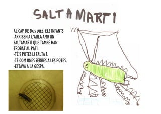 AL CAP DE DOS DIES, ELS INFANTS
 ARRIBEN A L’AULA AMB UN
SALTAMARTÍ QUE TAMBÉ HAN
TROBAT AL PATI.
-TÉ 5 POTES LI FALTA 1.
-TÉ COM UNES SERRES A LES POTES.
-ESTAVA A LA GESPA.
 