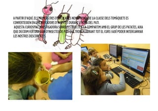 A PARTIR D’AQUÍ, ELS PRIMERS DIES D’ESCOLA ELS NENS I NENES DE LA CLASSE DELS TOMÀQUETS ES
CONVERTEIXEN EN UNS BUSCADORS D’INSECTES DURANT L’HORA DEL PATI.
AQUESTA CURIOSITAT INVESTIGADORA SOBRE ELS INSECTES, LA COMPARTIM AMB EL GRUP DE LES PATATES, AIXA
QUE DECIDIM FER UNA GUIA D’INSECTES DE PATI QUE TROBEM DURANT TOT EL CURS I AIXÍ PODER INTERCANVIAR
LES NOSTRES DESCOBERTES.
 