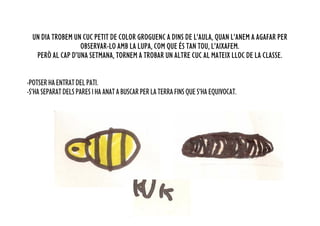 UN DIA TROBEM UN CUC PETIT DE COLOR GROGUENC A DINS DE L’AULA, QUAN L’ANEM A AGAFAR PER
                  OBSERVAR-LO AMB LA LUPA, COM QUE ÉS TAN TOU, L’AIXAFEM.
   PERÒ AL CAP D’UNA SETMANA, TORNEM A TROBAR UN ALTRE CUC AL MATEIX LLOC DE LA CLASSE.


-POTSER HA ENTRAT DEL PATI.
-S’HA SEPARAT DELS PARES I HA ANAT A BUSCAR PER LA TERRA FINS QUE S’HA EQUIVOCAT.
 