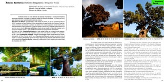 20 21
Árbores Senlleiras / Árboles Singulares / Singular Trees
			 Xardíns Pazo de Oca /Jardines Pazo de Oca / “Pazo de Oca” Gardens
			 Sobreira Pazo de Valiñas / Callobre
			 Sobreira de Balboa / Arnois 	
	 A Estrada conta con catro árbores de especial importancia e con dúas formacións
arbóreas singulares, incluídas no Catálogo Galego de Árbores Senlleiras. É o Pazo de Oca o
que alberga a maior parte destas simbólicas árbores.
A Sobreira de Balboa: considerada a máis antiga de Galicia, xa se ten constancia dela no
S.XVI, reinando os Reis Católicos, como pertencente á casa da Vila dos Hórreos. Este fas-
tuoso exemplar, considerado o primeiro de Galicia non só pola súa idade senón tamén polas
súas dimensións, logrou sobrevivir ó paso do tempo e incluso a un incendio que lle deixou un
enorme oco no tronco.Sobreira de Valiñas: situada na parroquia de Callobre, atópase xunto
ó pazo do mesmo nome, é unha centenaria sobreira de excepcionais dimensións.
No Pazo de Oca: Camelia Reticulada é a máis antiga e alta de Europa da súa especie.
Atópase situada xusto detrás da Capela do pazo e ten unha altura de 10,50m. e un períme-
tro de 1,55m.Criptomeria elegante: coa súa inconfundible copa, indica sempre ao lonxe,
a situación do Pazo. Ronda os 300 anos.Carreira dos Tileiros: marca a transición entre o
xardín e o espazo plenamente agrario do Pazo. Algunhas das árbores deste fermoso paseo
son antiquísimas.Paseo de Buxos: rodeando o estanque do Pazo, este fermoso paseo data
de mediados do S. XVII.
Árbores Senlleiras no Pazo de Oca GPS. 42º 44’ 50.67’’ N 8º 23’ 37.01’’ O
Sobreira de Valiñas GPS. 42º 41’ 36.45’’ N 8º 26’ 34.97’’ O Sobreira de Balboa Arnois GPS. 42º 45’ 31.19’’ N 8º 23’ 56.37’’ O
	 A Estrada cuenta con cuatro árboles de especial im-
portancia y con dos formaciones arbóreas singulares, incluidas
en el Catálogo Gallego de Árboles Singulares. Es el Pazo de
Oca el que alberga la mayor parte de estos simbólicos árboles.
El Alcornoque de Balboa: considerado el más antiguo de Gali-
cia, ya se tiene constancia de él en el S.XVI, reinando los Reyes
Católicos, como perteneciente a la casa de la “Vila dos Hórreos”.
Este fastuoso ejemplar, considerado el primero de Galicia no
sólo por su edad sino también por sus dimensiones, logró so-
brevivir al paso del tiempo e incluso a un incendio que le dejó un
enorme hueco en el tronco.
El Alcornoque de Valiñas: situado en la parroquia de Callobre,
se encuentra junto al pazo de su mismo nombre, es un alcorno-
que centenario de excepcionales dimensiones.
En el Pazo de Oca: La Camelia Reticulada es la más antigua
y alta de Europa de su especie. Se encuentra justo detrás de
la Capilla del Pazo y tiene una altura de 10,50 m y un períme-
tro de 1,55 m. La Criptomeria Elegante: con su inconfundible
copa, indica siempre a lo lejos, la situación del Pazo. Ronda los
300 años. La Carrera de los Tilos: marca la transición entre el
jardín y el espacio plenamente agrario del Pazo. Algunos de los
árboles de este hermoso paseo son antiquísimos. El Paseo de
Boj: rodeando el estanque del Pazo, este hermoso paseo es del
S.XVII.
	 A Estrada has four important types of trees and two
singular arboreal formations, included in the Galician Catalogue
of Singular Trees. The «Pazo de oca» is the place which shelters
most of these singular trees.
The Balboa’s cork oak: is considered the oldest of Galicia. We
already have notice of its existence on the XVI century, during
the Catholic Kings’ reigning, as appertaining to the house of the
«Vila dos Hórreos». This splendid specimen, considered as the
first of Galicia not only for its age but also for its dimensions, has
survived through the ages and also after a fire which made a big
hollow in its trunk.
The Valiñas’ cork oak: placed in the parish of Callobre, is si-
tuated next to the pazo which receives the same name. It is a
centenarian cork oak of exceptional dimensions.
Camelia reticulata: is the oldest and tallest tree of its specie in
Europe. It is found behind the Pazo’s chapel and it is 10.50 me-
tres tall and it has got a perimeter of 1.55 metres.
Japanese red cedar: with its unmistakable top it indicates where
is situated the Pazo. It must be about 300 years old.
Lime tree avenue: marks out the transition between the garden
and the agrarian space of the Pazo. Some of the trees of this
beautiful avenue are really ancient.
Line of ancient box hedges: encircling the pond of the Pazo, this
lovely walk date in the middle of the XVII century.
Primavera
Spring
 