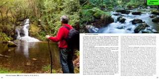 24 25
Primavera
Spring
A Estrada, que celebra en mayo el Concurso Internacional
de Pesca del Salmón y la Fiesta del Salmón, cuenta con
magníficos recursos naturales para la práctica de la pesca. El
paso de los ríos Umia y Ulla, y sus afluentes Liñares y Vea,
por el municipio, son fundamentales para la práctica de esta
actividad. Los cotos de pesca que se encuentran en el muni-
cipio son idóneos para la captura del salmón y de la trucha,
entre otras especies.
El coto de Ximonde entre A Estrada y Vedra, acota el río Ulla
durante 1 Km fijándose los límites entre los 200 m aguas aba-
jo de la presa de Ximonde y el canal de Cubelas.
El coto de Couso, el Xirimbao, entre A Estrada y Teo, acota
el río Ulla durante 0,5 Km entre la presa de Couso y a 100 m
aguas abajo de Pedra de Fernández. Es aquí donde se cele-
bra la “Festa do Escalo”, el primer domingo de agosto. El coto
de Sinde, entre A Estrada y Padrón, acota el río Ulla durante
0,6 Km entre la presa de Sinde y la desembocadura del Rega-
to de Fontao.El coto de Souto de Vea acota el río Vea durante
5,2 Km entre el Puente Ribeira y el Puente de Riba de Vea.
El coto de Ponte Liñares acota el río Liñares durante 8,1 Km
entre la desembocadura del regato de Tabeirós y el Salto da
Devesa. El coto de Rubín acota el río Curantes durante 7,1
Km entre Ponte Bede y la desembocadura del río Liñares. El
coto de Codeseda acota el río Umia durante 8,2 Km entre la
Presa de Loureiro y el puente de Paradola.Además, viene de
acotarse un tramo de Pesca Libre sin Muerte desde el puen-
te de Ribela a la Tosta dos Muíños de los Lourenzos 560 m
aguas arriba del límite superior del coto de Codeseda.
A Estrada has great natural resorts to practise fishing. In the
month of May, in the Council is celebrated the International
Contest of Salmon Fishing and the Salmon Festival. These
activities cannot be done if the rivers Umia and Ulla, besides
their affluents Liñares and Vea, did not cross the Council. The
fishing reserves which we can find in the territory of the mu-
nicipality are perfect for the fising of salmon and trout, among
other species.
The fishing reserve of Ximonde, between A Estrada and Ve-
dra, demarcated the Ulla River 1 kilometre, between the dam
of Ximonde and the Canle de Cubelas. The fishing reserve of
Couso, the Xirimbao, between A Estrada and Teo, demarca-
ted the Ulla River 0,5 kilometres, between the dam of Couso
and the Pedra de Fernández. Here, it is celebrated the Festi-
val of the Escalo the first Sunday of August. The fishing reser-
ve of Sinde, between A Estrada and Padrón, demarcated the
Ulla River 0,6 kilometres, between the dam of Sinde and the
mouth of the brook of Fontao. The fishing reserve of Souto
de Vea demarcated the Vea River 5,2 kilometres, between
the Ribeira Bridge and the Riba Bridge of Vea. The fishing
reserve of Ponte Liñares demarcated the Liñares River 8,1
kilometres, between the mouth of the brook of Tabeirós and
the Salto da Devesa. The fishing reserve of Rubín demarca-
ted the Curantes River 7,1 kilometres, between Ponte Bede
and the mouth of the Liñares River. The fishing reserve of Co-
deseda demarcated the Umia River 8,2 kilometres, between
the dam of Loureiro and Paradola Bridge. Moreover, it has just
demarcated a section of Free Fishing Without Death from
the Bridge of Ribela to Tosta dos muiños dos Lourenzos.Picho de Curantes GPS. 42º 41’ 38.28’’ N 8º 23’ 30.32’’ O
Río Umia en Codeseda
 