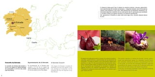 2 3
	
O obxectivo desta guía é dar a coñecer os valores turísticos, culturais, gastronómi-
cos e patrimoniais do Concello da Estrada; e , dalgunha maneira, servir de axuda ao
viaxeiro para planificar a súa viaxe. Nela atoparemos os elementos necesarios, es-
truturados segundo a estación do ano, para gozar das 51 parroquias que constitúen
o concello e tamén de lugares cercanos con especial significación.
Así, gozaremos A Estrada en cada visita como algo novo, durante calquera época
do ano.
	
This guide’s objective is making the touristic, cultural, gastro-
nomic and patrimonial values of A Estrada’s council known
and, somehow, helping the traveller in the planning of his trip.
In this guide, we will find the necessary elements, organized
according to the season, to enjoy the 51 parishes which form
the council and other places with special importance.
In this way, we will enjoy A Estrada in each visit with something
new, during any period of the year.
	
El objetivo de esta guía es dar a conocer los valores turísticos,
culturales, gastronómicos y patrimoniales del ayuntamiento de
A Estrada; y, de alguna manera, servir de ayuda al viajero para
planificar su viaje. En ella encontraremos los elementos nece-
sarios, estructurados según la estación del año, para gozar de
las 51 parroquias que constituyen el municipio y también de
lugares cercanos con especial significación. Así, gozaremos
A Estrada en cualquiera visita como algo nuevo, durante cual-
quier época del año.
Concello da Estrada
O Concello da Estrada está situado a
25 Km da capital de Galicia,Santiago
de Compostela e a 50 Km das praias
das Rías Baixas.
Ayuntamiento de A Estrada
El Ayuntamiento de A Estrada está
situado a 25 Km de la capital de
Galicia,Santiago de Compostela y a 50
Km de las playas de las Rías Bajas.
A Estrada Council
The village of A Estrada is situated 25
Kilometres far from the capital of Ga-
licia, Santiago de Compostela, and 50
kilometres far from the beaches of the
Rias Baixas.
A Coruña
Santiago de
Compostela
Pontevedra
Ourense
Lugo
Vigo
AP-9
A-6
A Estrada
AP-53
A-52
España
Galicia
 