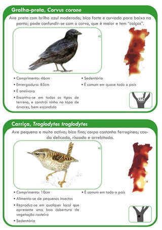 Carriça, Troglodytes troglodytes
Comprimento: 10cm
Alimenta-se de pequenos insectos
Reproduz-se em qualquer local que
apresente uma boa cobertura de
vegetação rasteira
Sedentária
É comum em todo o país
Ave pequena e muito activa; bico fino; corpo castanho ferrugíneo; cau-
da delicada, riscada e arrebitada.
Gralha-preta, Corvus corone
Comprimento: 46cm
Envergadura: 85cm
É omnívora
Encontra-se em todos os tipos de
terreno, e constrói ninho no topo de
árvores, bem escondido
Sedentária
É comum em quase todo o país
Ave preta com brilho azul moderado; bico forte e curvado para baixo na
ponta; pode confundir-se com o corvo, que é maior e tem “calças”.
a)
a)
 
